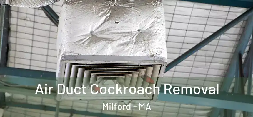  Air Duct Cockroach Removal Milford - MA