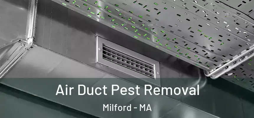 Air Duct Pest Removal Milford - MA