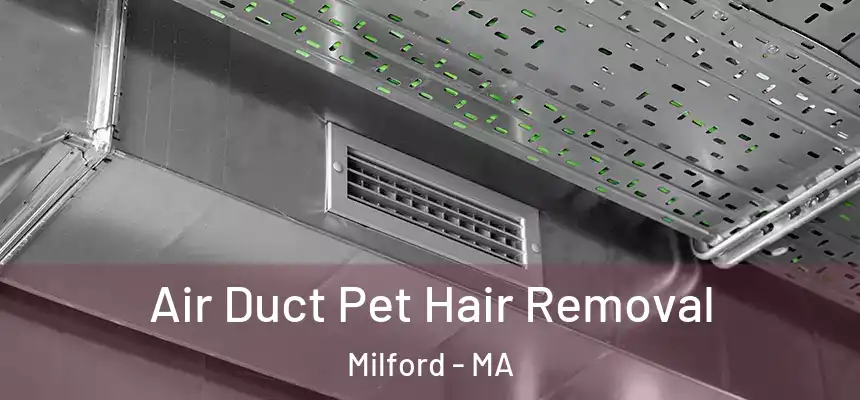  Air Duct Pet Hair Removal Milford - MA