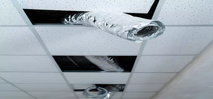 Our Air Duct Pet Hair Removal Services in Milford, MA