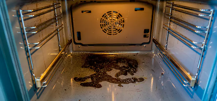 Our Dryer Vent Mold Cleaning Services in Milford, MA