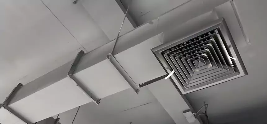 Our Rodent Droppings In Vents Services in Milford, MA