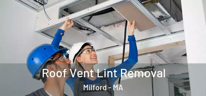  Roof Vent Lint Removal Milford - MA