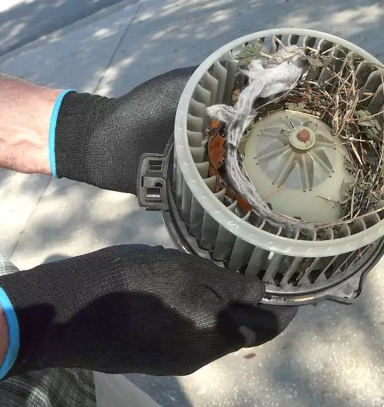 About Air Duct Mice Removal in Milford, MA