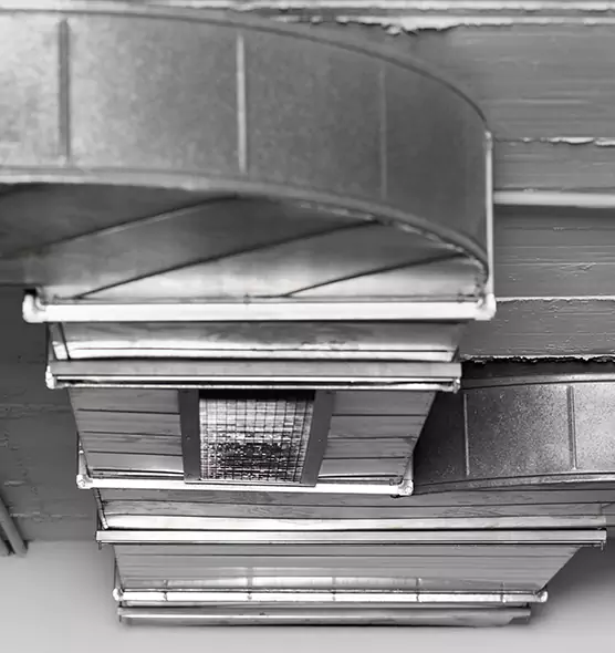 Professional Air Duct Pest Removal in Milford, MA