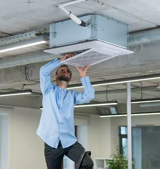 Advanced Rodent Droppings In Vents in Milford, MA