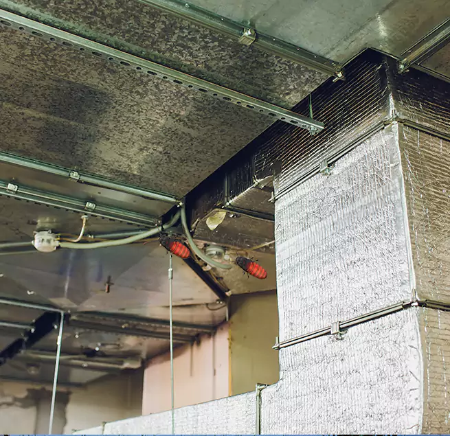 Why Homeowners & Businesses Trust Us in Milford, MA?