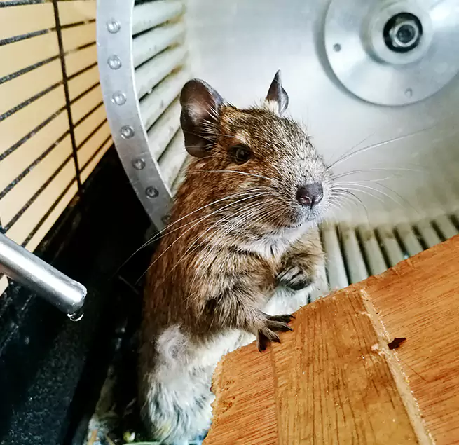 Why Homeowners & Businesses Trust Us Milford, MA?