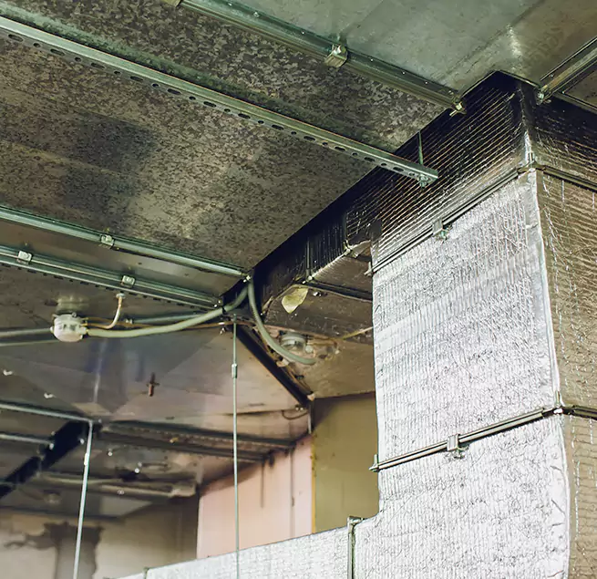 Why Homeowners & Businesses Trust Us in Milford, MA?